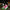 LED Roller Shoes PU Wheels shoes Pink