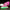 LED Roller Shoes PU Wheels shoes Pink