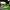 Green LED Roller shoes Light up Rechargeable Shoes