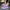 LED Roller shoes Pinkgreen