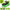 Green  PU LED Roller Shoes Rechargeable Shoes
