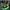 Green  PU LED Roller Shoes Rechargeable Shoes