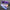 LED Roller Shoes PU Wheels shoes Purple
