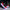 LED Roller Shoes PU Wheels shoes Red